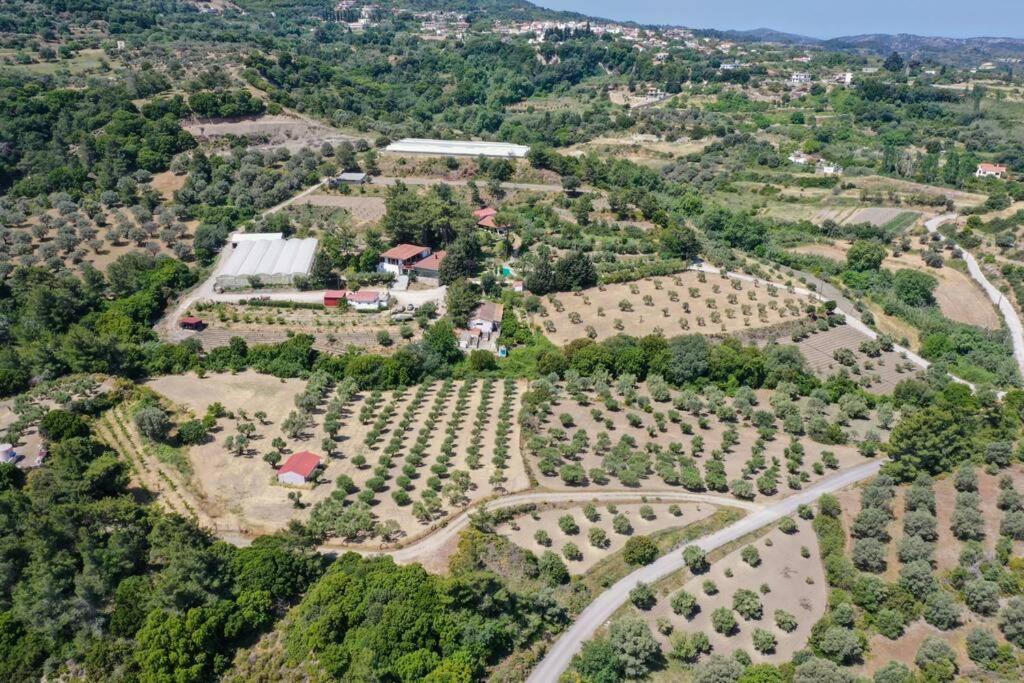 Villa Agrology Lux - 4 Bedroom Luxurious On An Agricultural Haven Retreat Sálakos